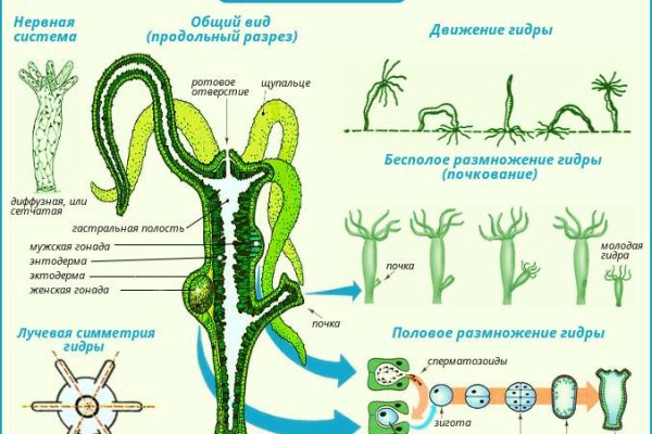 Kraken ссылка на сайт тор