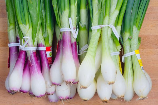 Какая комиссия кракен маркетплейс