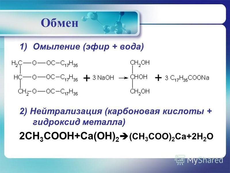 Кракен как войти через тор